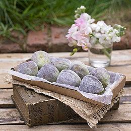 《艾尔登法环》让角川营业利润提高1100% 太惊人了